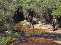 2021-06-05 e 6 FORMEX 1